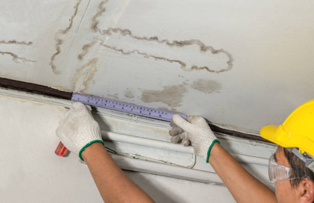 Reliable Water Damage Repair contractor in Bargersville, IN by Hirex Water Damage